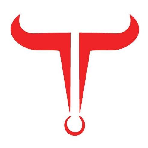 TT Meat - logo